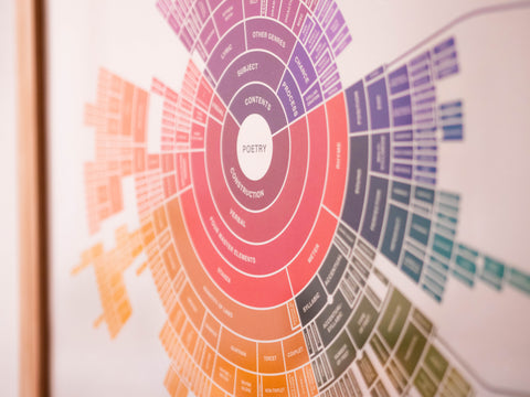 The Master Map - Professional Edition