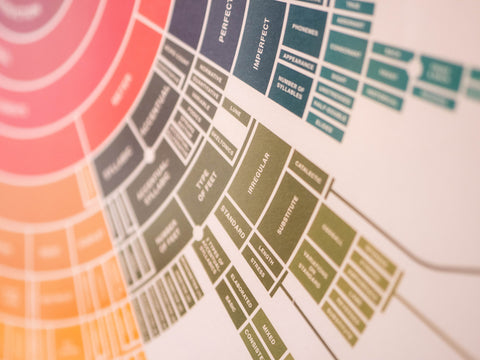 The Master Map - Professional Edition